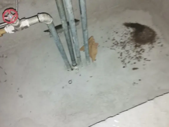 汕尾市卫生间测漏水价格明细